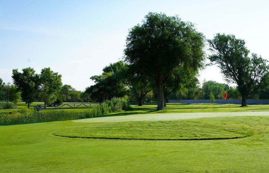 Golf Course Green with tree